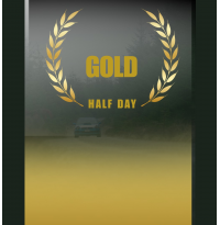 Gold Rally Experience Half Day