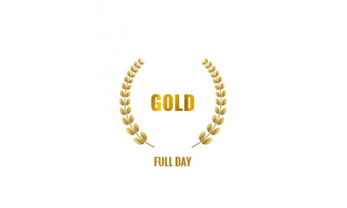 Gold Rally Experience Full Day